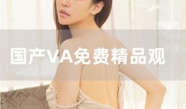 国产va在线视频,探索视觉艺术的新天地
