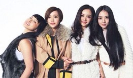 女主娱乐圈低调吃瓜文,女主的隐秘生活揭秘