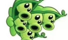 娱乐吃瓜酱豌豆射手